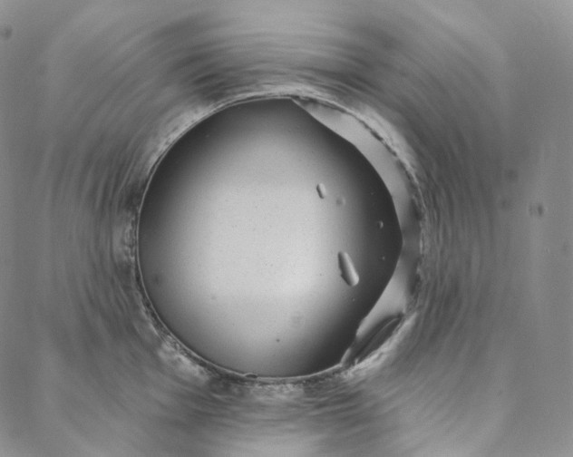 X0000088021001200705251047