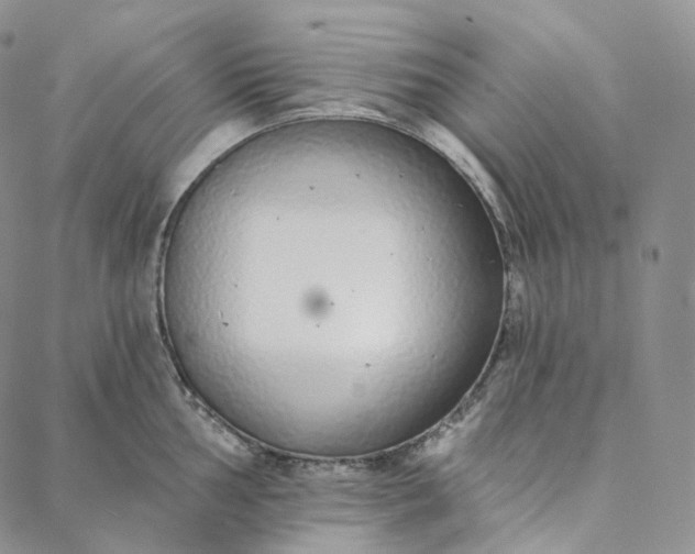 X0000088021002200705251047