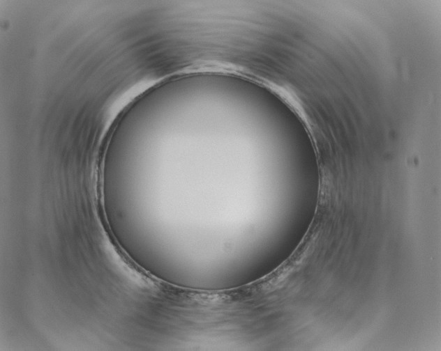 X0000088021003200705251047