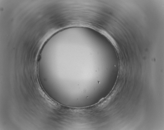 X0000088021004200705251047