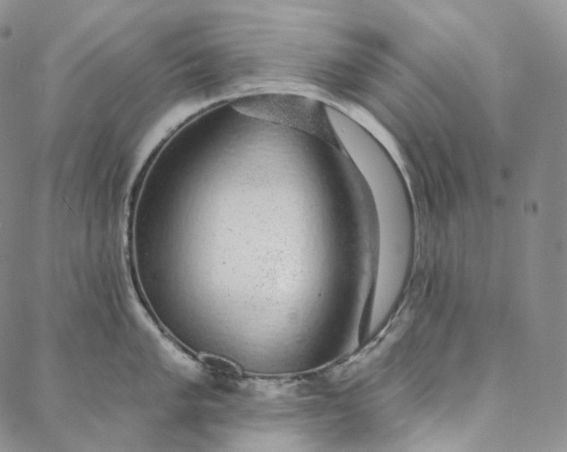 X0000088021005200705251047