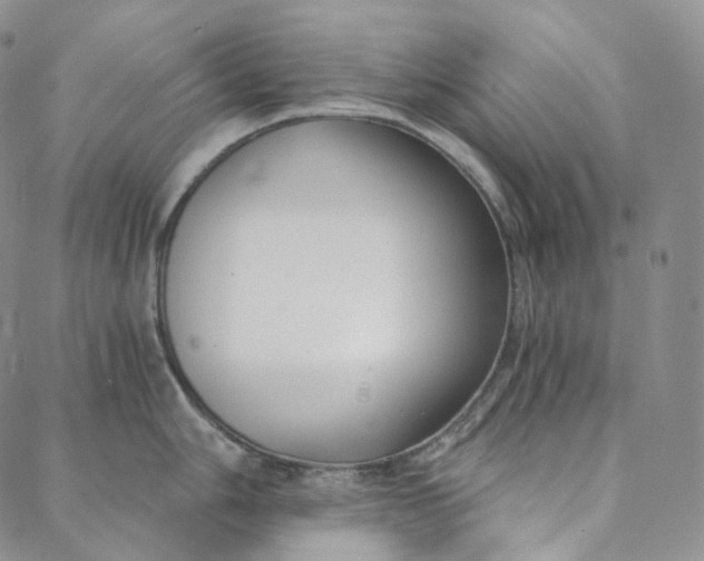 X0000088021006200705251047