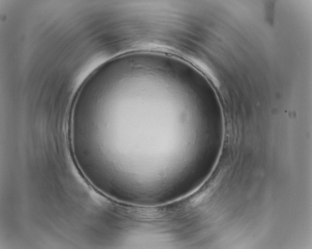 X0000088021007200705251047