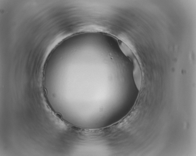 X0000088021008200705251047