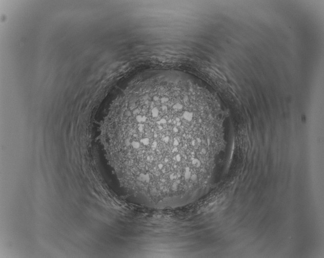 X0000088021009200705251046