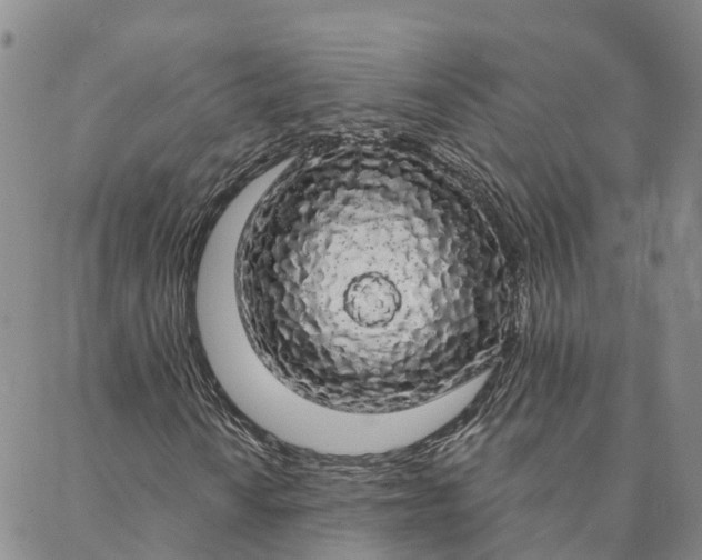 X0000088021010200705251046