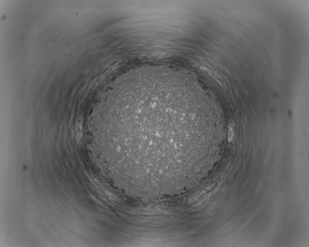 X0000088021011200705251046