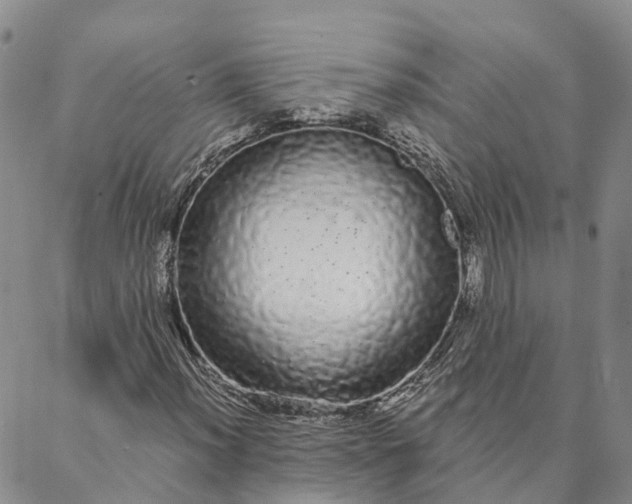 X0000088021012200705251046