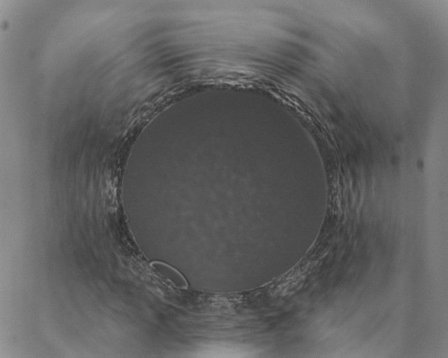 X0000088021013200705251046