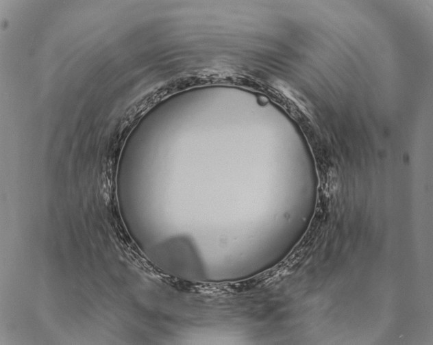 X0000088021015200705251046