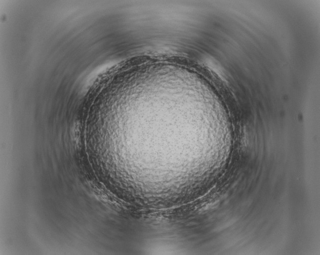 X0000088021016200705251046