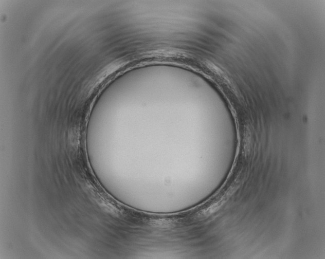 X0000088021017200705251046