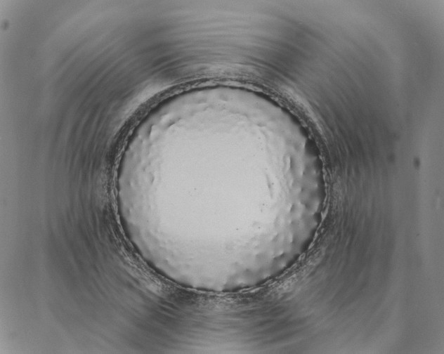 X0000088021019200705251046