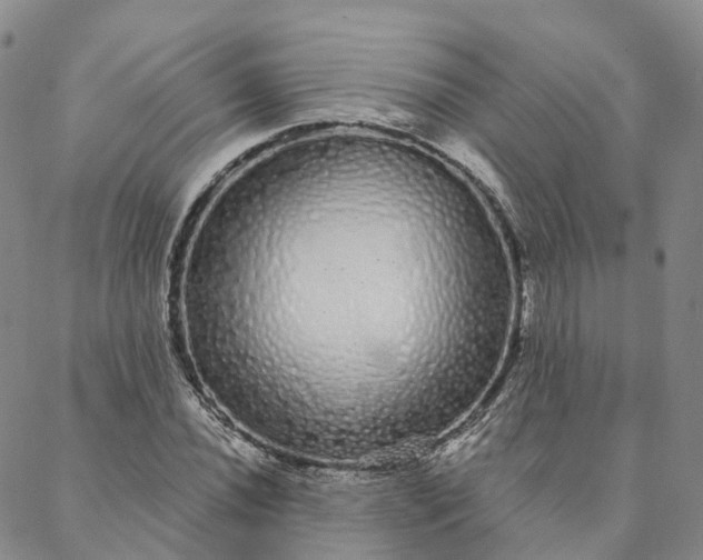 X0000088021020200705251046