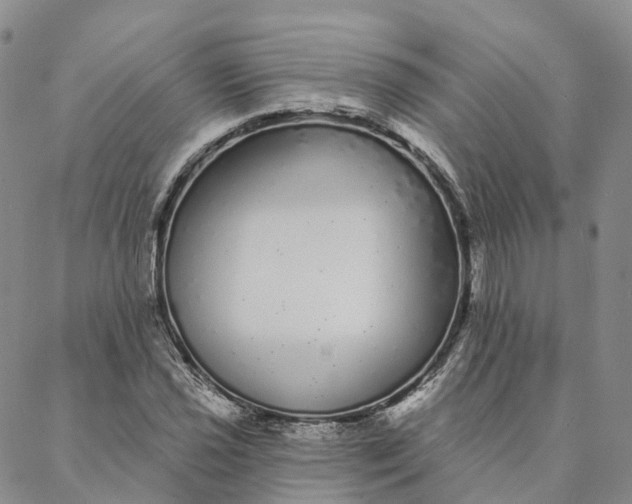 X0000088021021200705251046