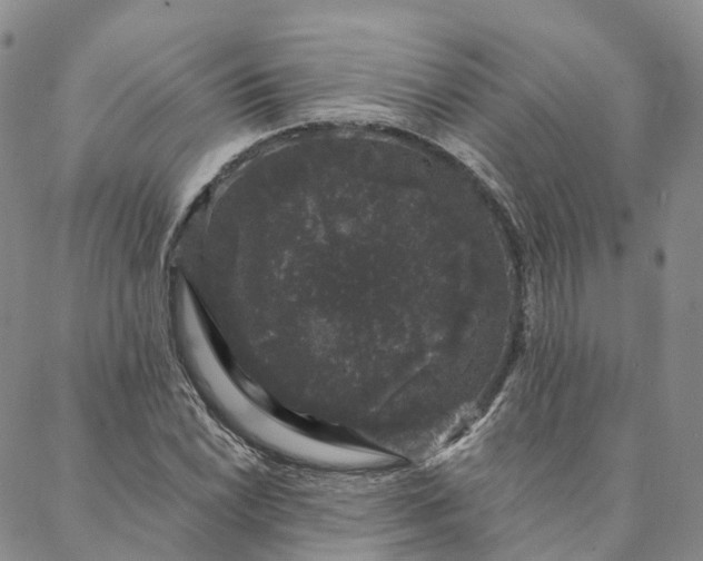 X0000088021022200705251046