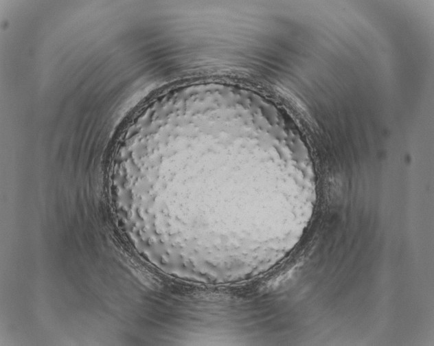 X0000088021023200705251046