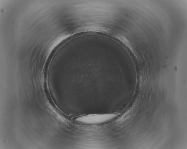 X0000088021024200705251046