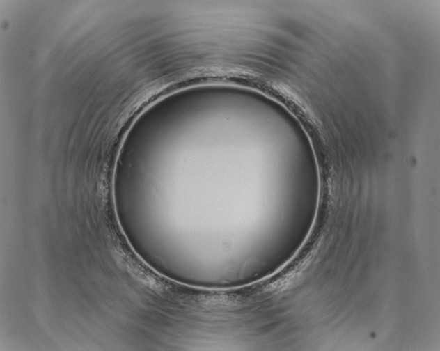 X0000088021025200705251046