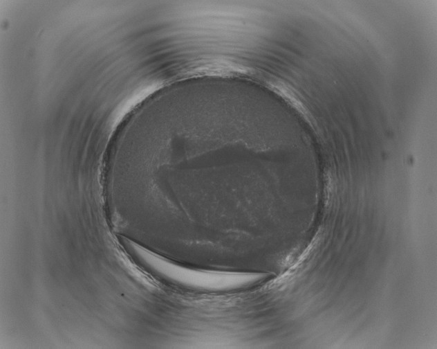 X0000088021026200705251046