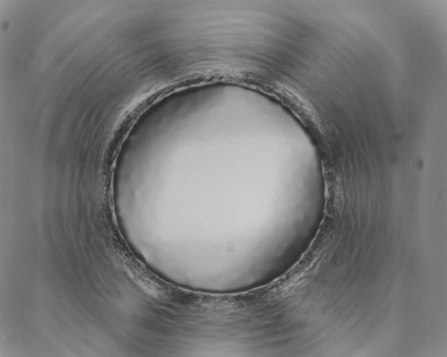 X0000088021027200705251046