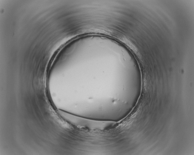 X0000088021028200705251046