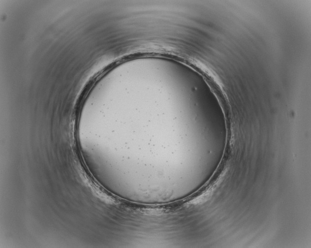 X0000088021029200705251046