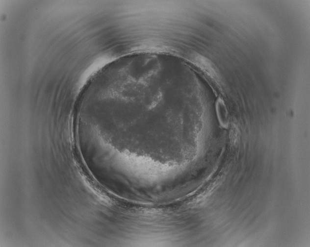 X0000088021030200705251046