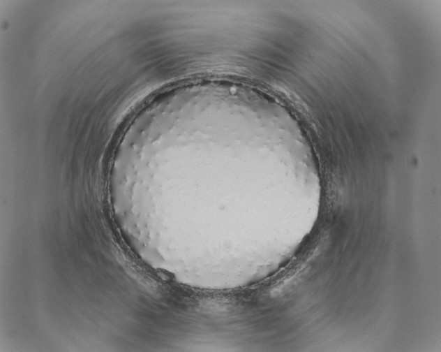 X0000088021031200705251046