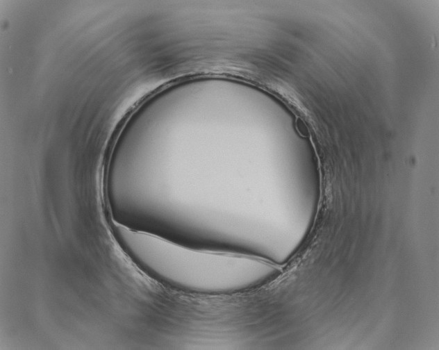 X0000088021032200705251046