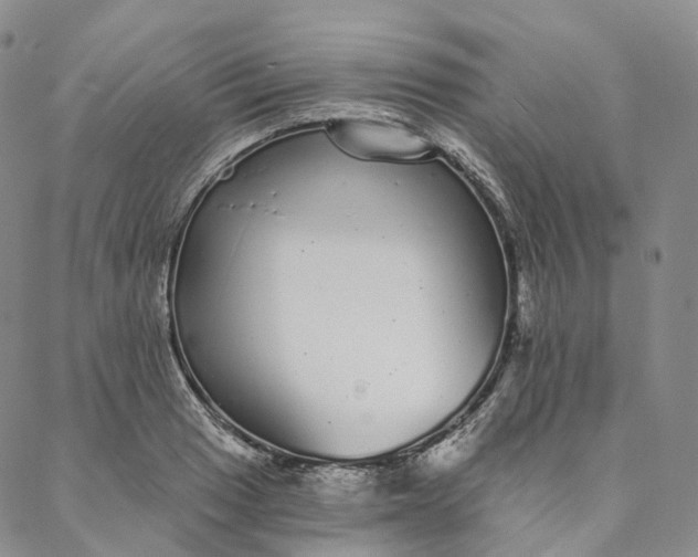 X0000088021033200705251046