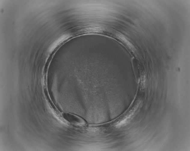 X0000088021034200705251046