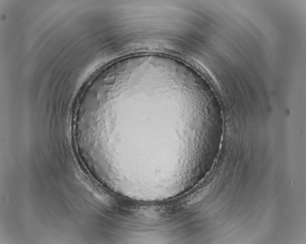 X0000088021035200705251046