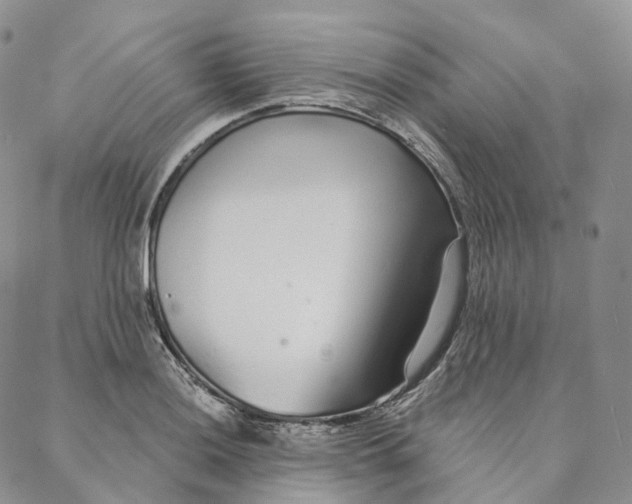 X0000088021036200705251046