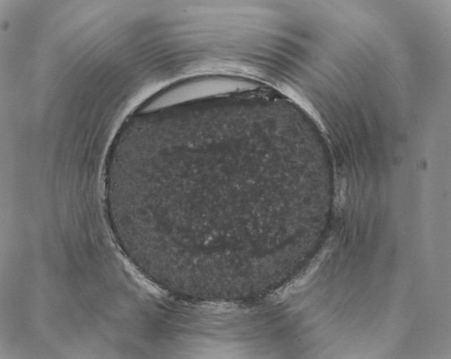 X0000088021037200705251046