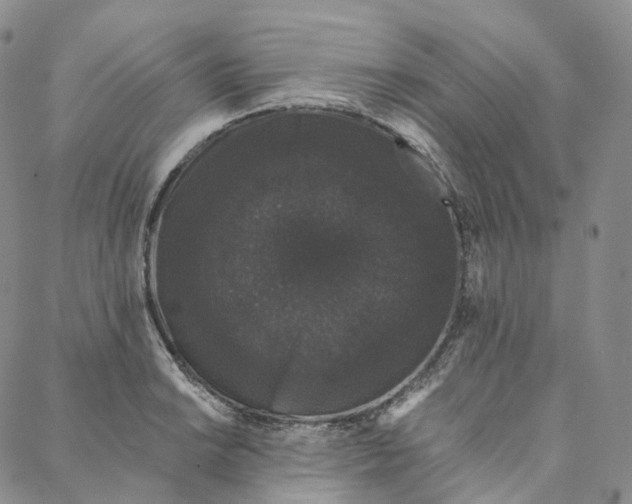 X0000088021038200705251046