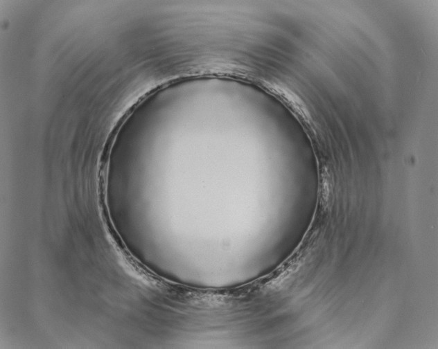 X0000088021039200705251046