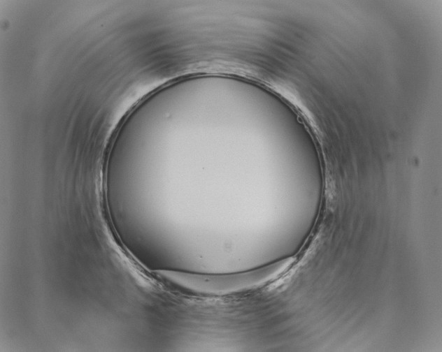 X0000088021040200705251047