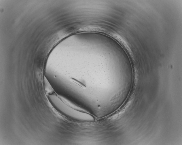 X0000088021041200705251047