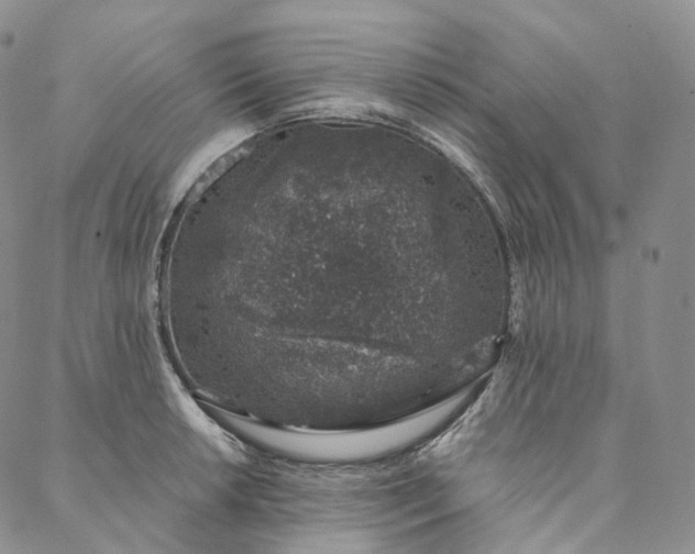 X0000088021042200705251047