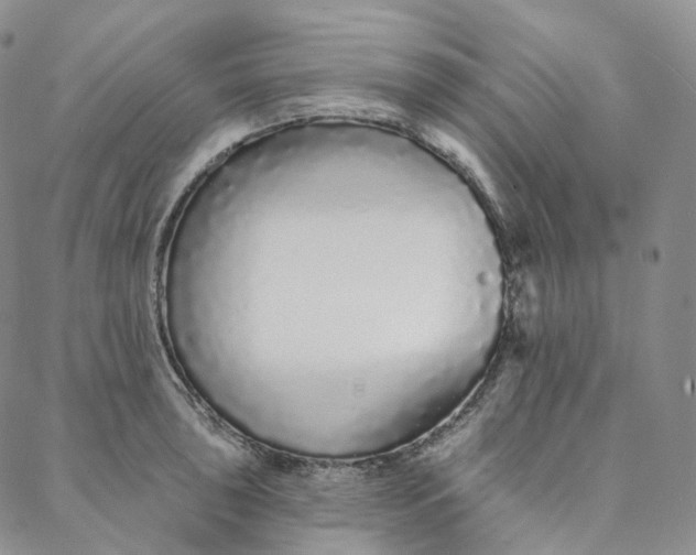 X0000088021043200705251047