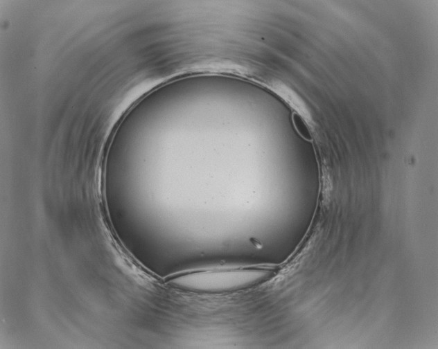 X0000088021044200705251047