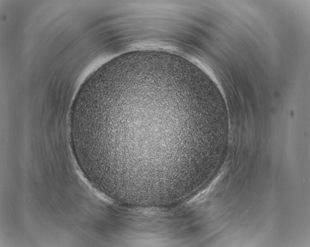 X0000088021045200705251047