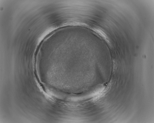 X0000088021046200705251047