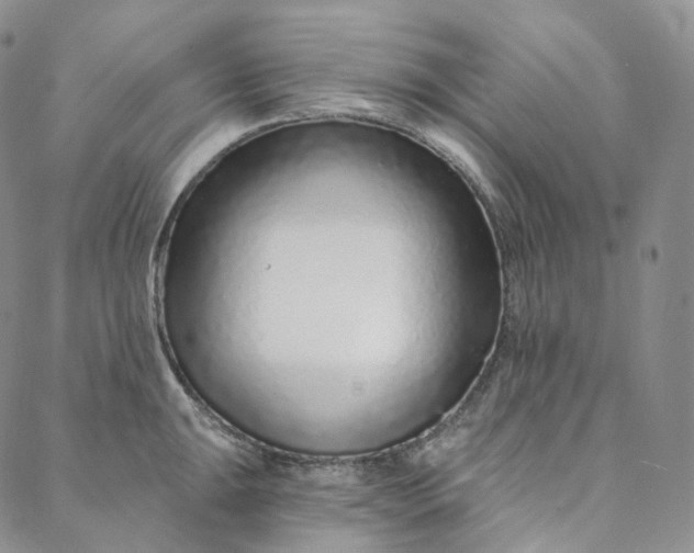 X0000088021047200705251047