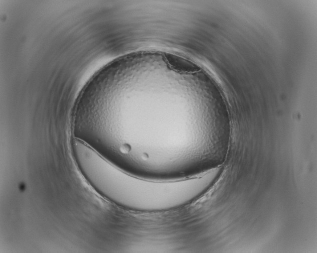 X0000088021048200705251047