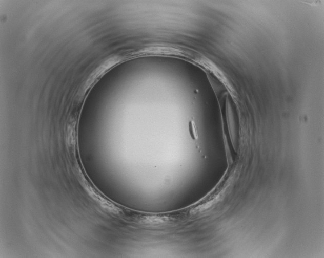 X0000088021049200705251047