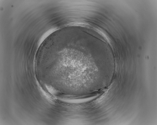 X0000088021050200705251047