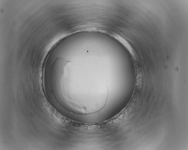 X0000088021051200705251047