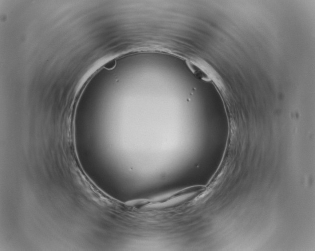 X0000088021052200705251047